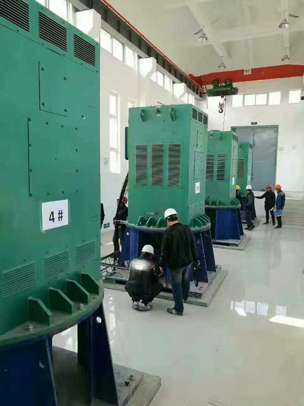 富锦某污水处理厂使用我厂的立式高压电机安装现场生产厂家